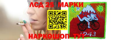 Альфа ПВП Будённовск