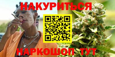 Альфа ПВП Будённовск