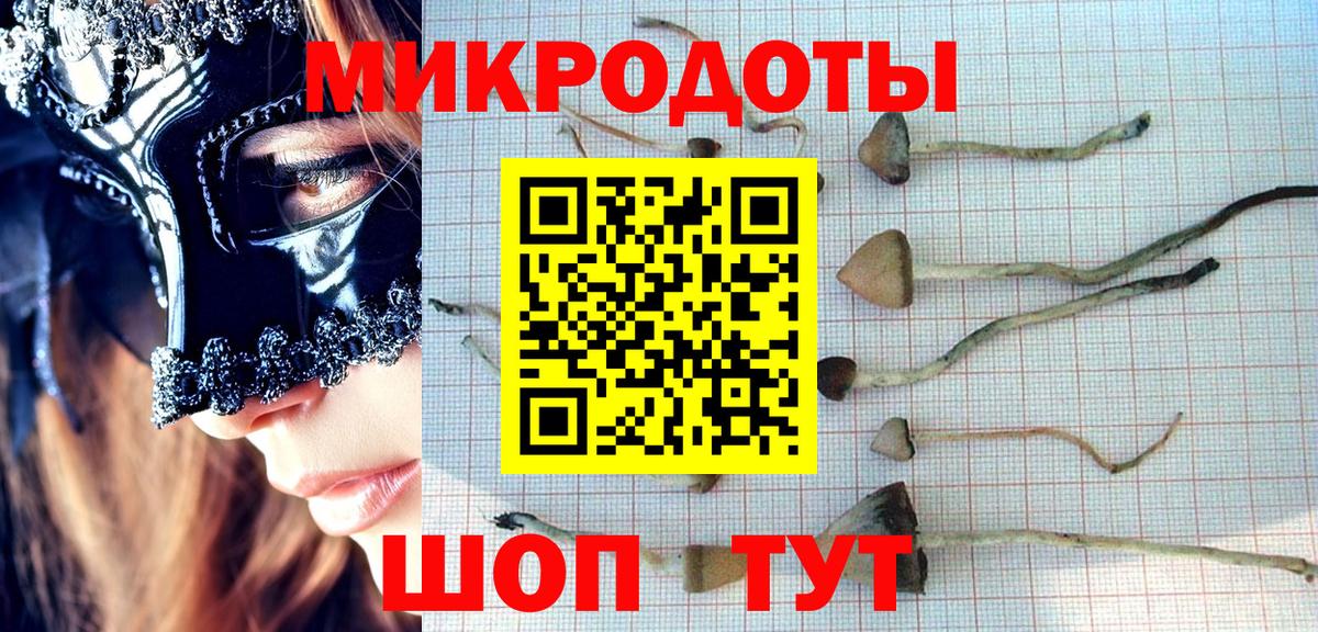 Галлюциногенные грибы Psilocybe Фролово