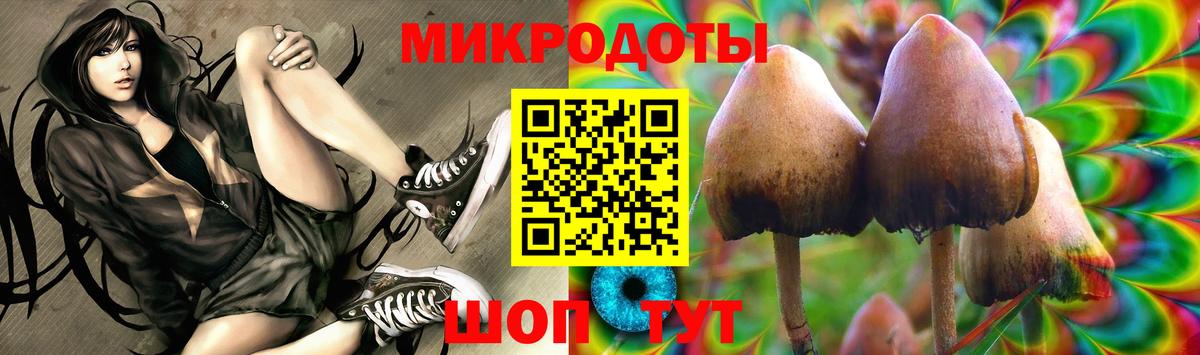 Фролово  Псилоцибиновые грибы мицелий  Псилоцибиновые грибы ЛСД  Вход с VPN 